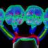Solarisation Lehnert 21